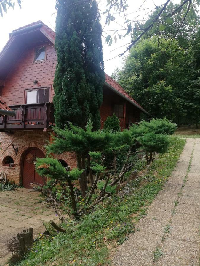Mohas Vendeghaz Koszeg Mohas Ut 107 Hotel Buitenkant foto